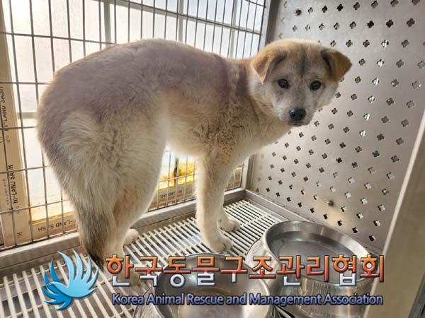 한국동물구조관리협회_441406202400118